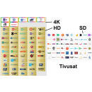 TivuSat SmarCAM 4K/UHD CI+ Modul incl. BLACK-Smartcard (Rai, Mediaset, LA7 - jetzt auch mit vielen Sendern in ULTRA-HD)